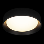 Потолочный светодиодный светильник Loft It Coin 10202 BB