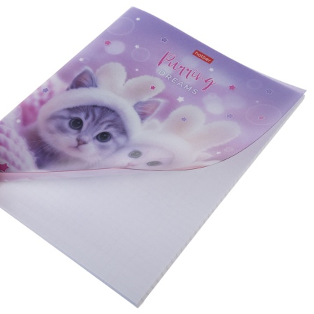 iskdumhoqw5id11ccawpck8ra5g65mlh