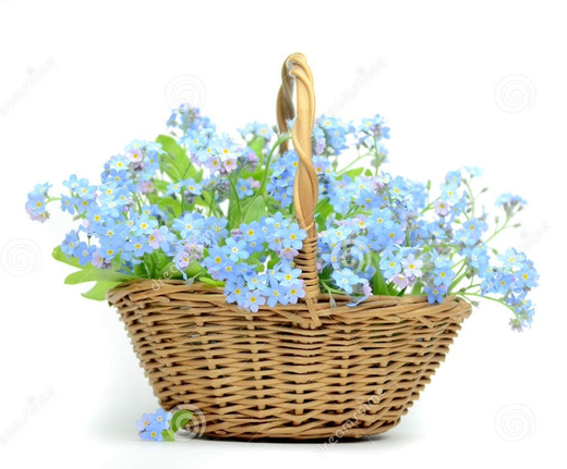 Композиция в корзине НА ВКУС ФЛОРИСТА