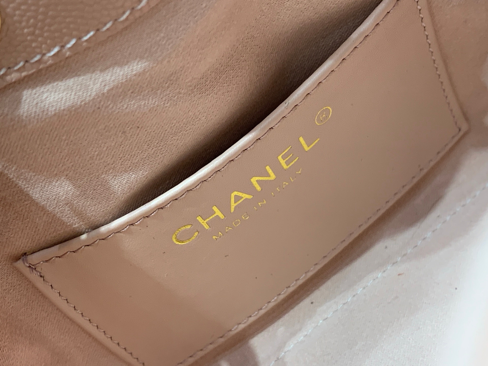 Chanel 25 Mini Handbag 22 cm