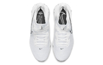 Кроссовки Nike Air Zoom Infinity Tour