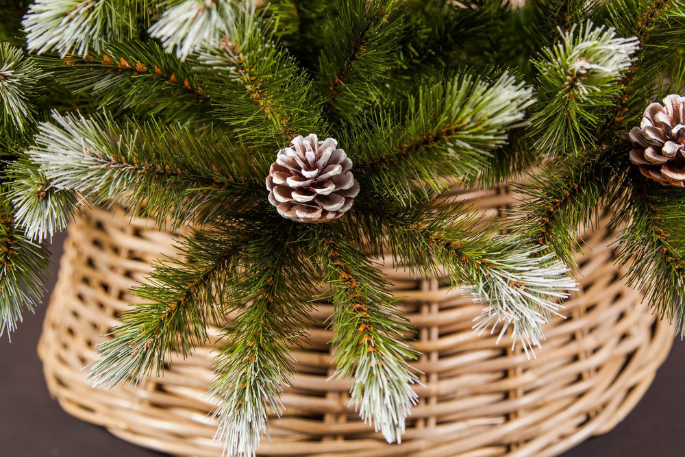 Ель Женева 185см с шишками заснеженная Triumph Tree