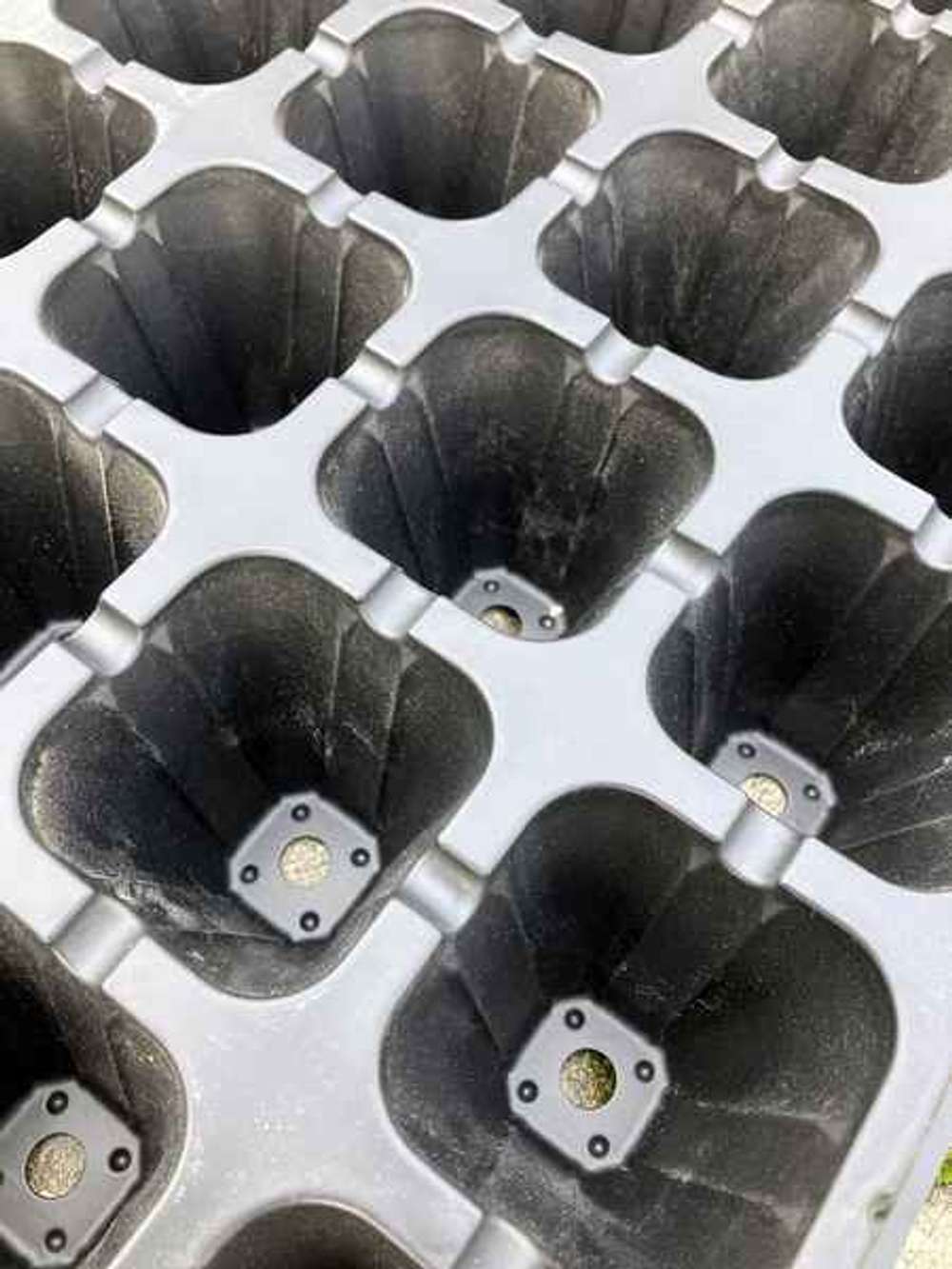 Кассета для рассады 32 ячейки (30шт)