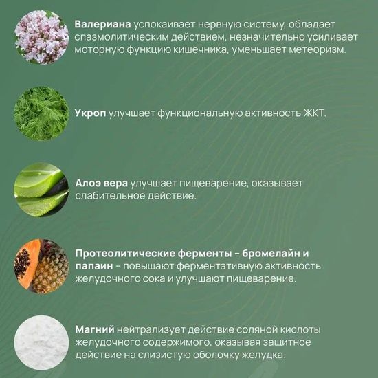 Гастрокалм Макси