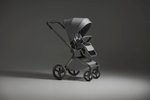 Детская коляска Anex Flo 2 в 1 Frossy