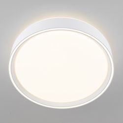 Citilux BOSS CL751250G LED RGB Светильник с пультом Белый