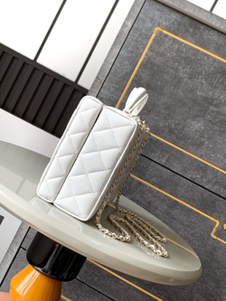 Chanel Bag (2 sizes)