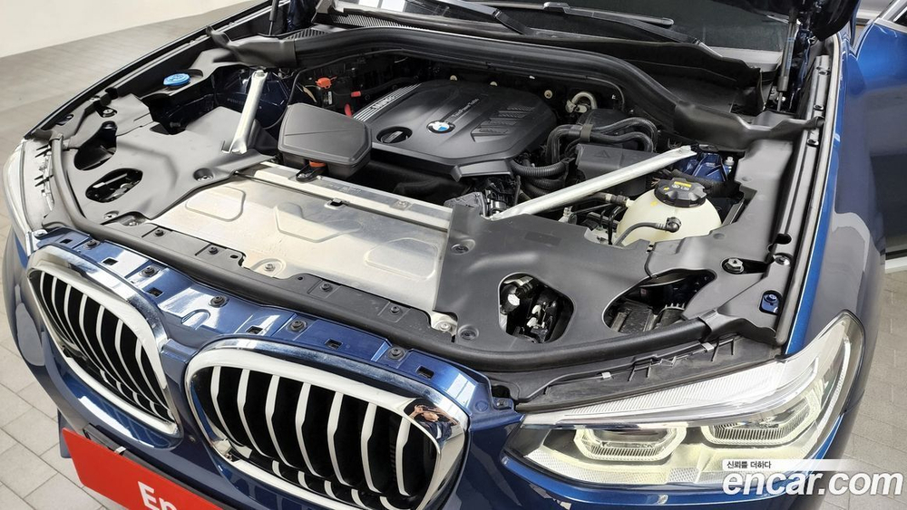 BMW X4 (G02) xDrive20d xLine (01.2021)