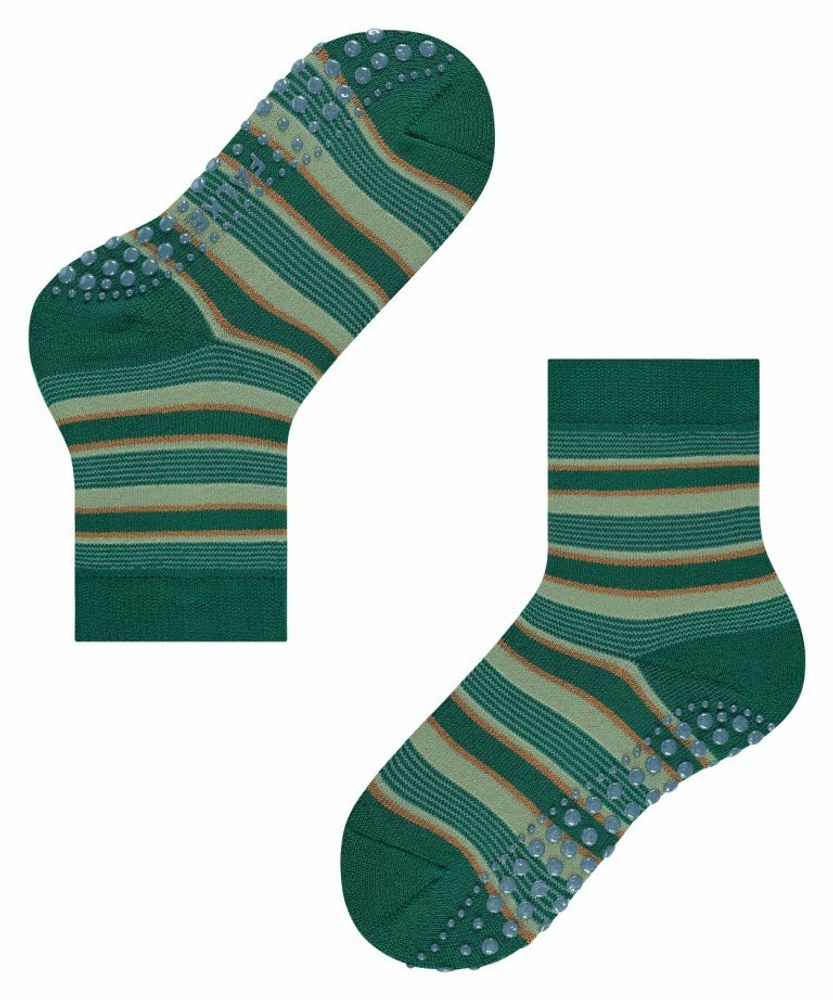 Носки Mixed Stripe FALKE 12268/7950