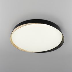 Citilux BONNY CL754451G LED RGB Светильник с пультом Чёрный + Клён