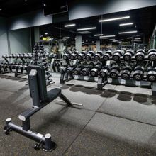 Гантельный ряд профессиональный (шаг 2,5 кг, 5 пар) PROFI-FIT 40-50 кг