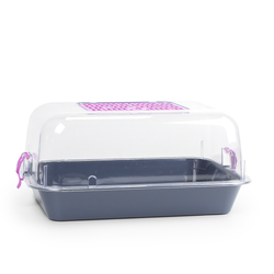 Террариум ZOOSET прозрачный серый/сиреневый - M (40х27х18 см)