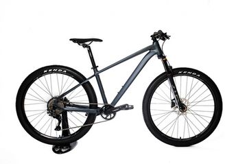 Велосипед BOOSTER Spark Gray M 29