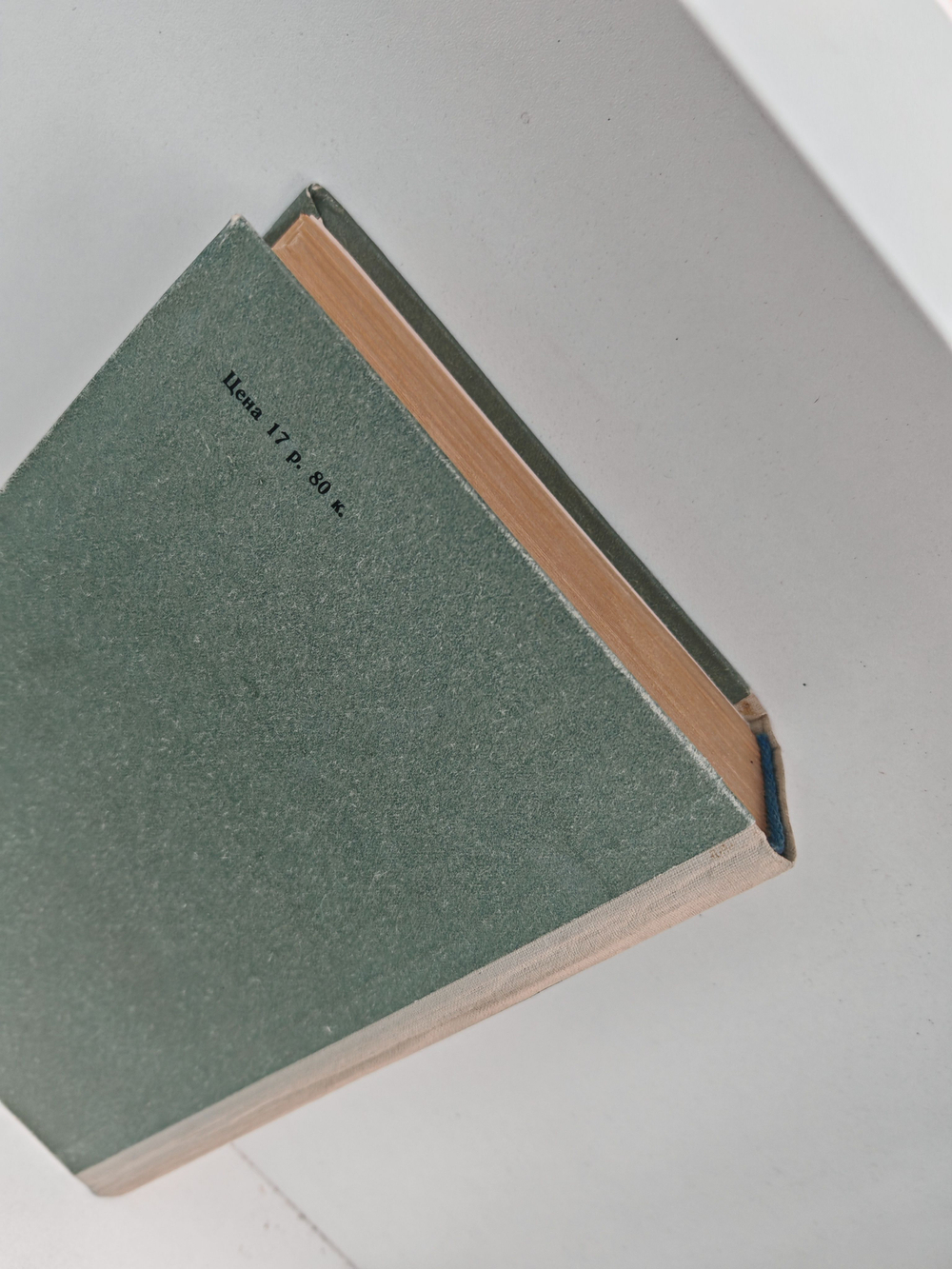 Жизнь во мгле