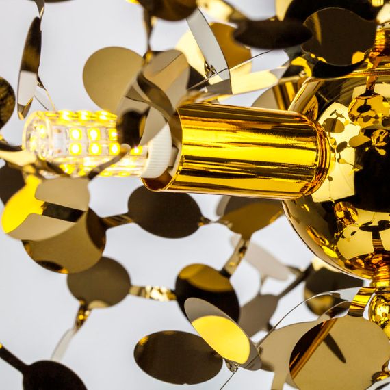 Комплект с подвесной люстрой Lightstar Extra (721132-5+572162-1) L5PL721132