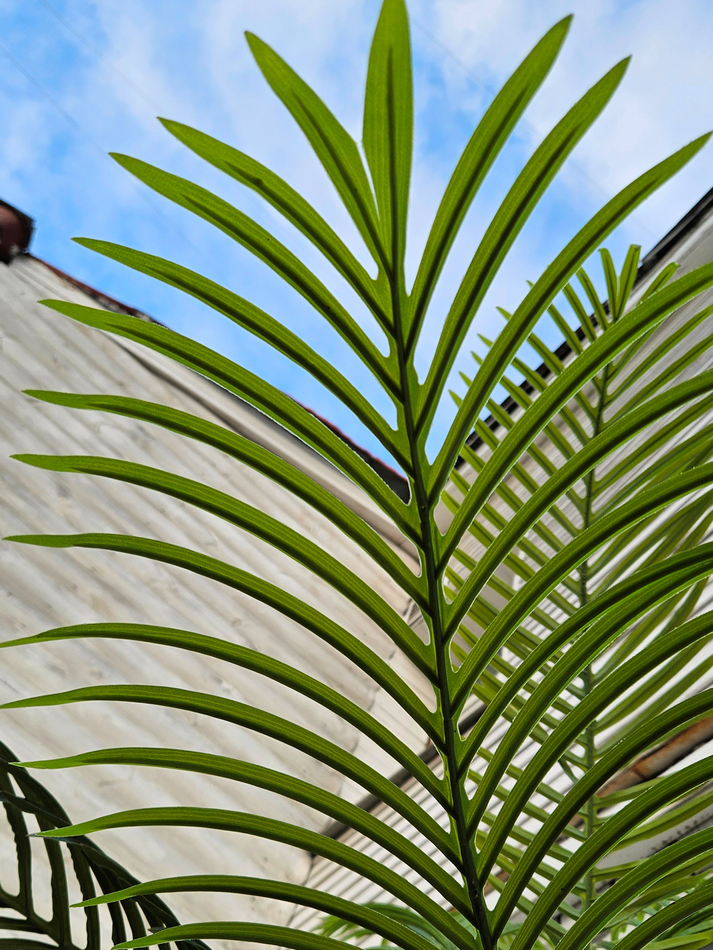 Искусственная Пальма Арека 250см в кашпо