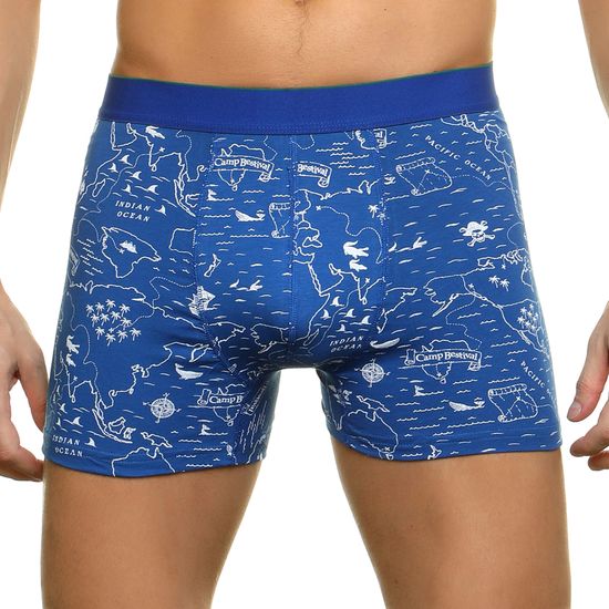 Трусы мужские боксеры синие с принтом DARKZONE DZN2641