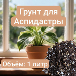 Авторский грунт для Аспидистры 1 литр  грунт универсальный 2 литра