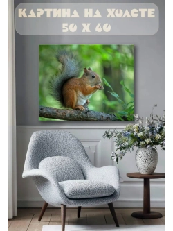 Картина на стену 40 X 50 Белка