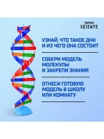 Набор для опытов «Молекула ДНК»