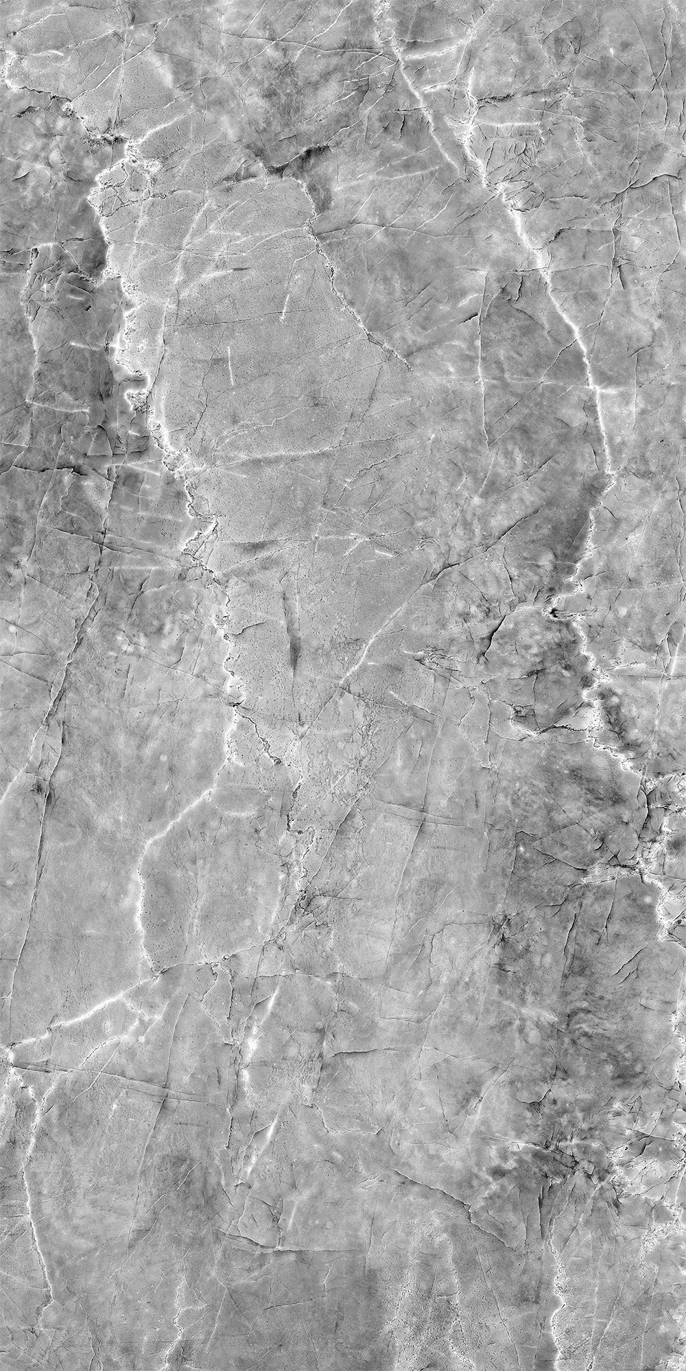 Шерл Сильвер