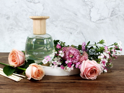 Имбирь и цитрус Ароматический диффузор 600 мл Sofi De MarkO