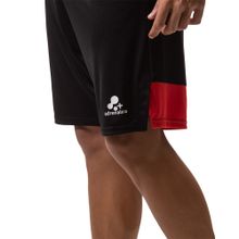 Шорты для пляжного волейбола муж. +ADRENALINA Blix 2014-040-2XL, р.2XL, 100% полиэстер,  черно-красн