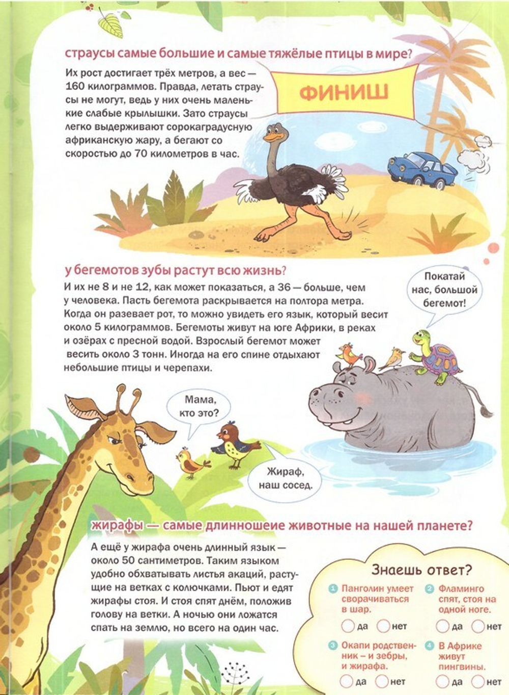 Журнал "Шишкин лес" № 6 Июнь 2023 г.