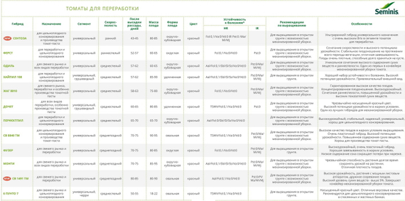 Монти F1 семена томата детерминантного (Seminis / Семинис) – фото 3