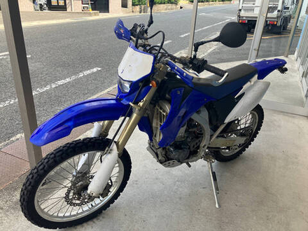 Yamaha WR250F 2007