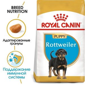 Корм для щенков собак породы ротвейлер, Royal Canin Rottweiler Puppy