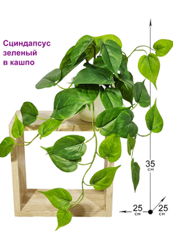 Искусственное растение Сциндапсус зеленый малый 35см в кашпо