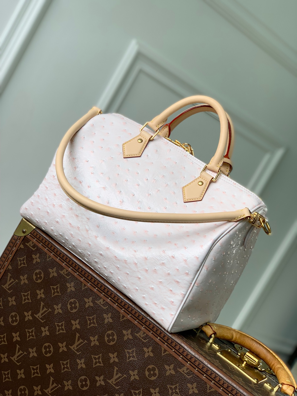 Louis Vuitton Speedy Soft 30