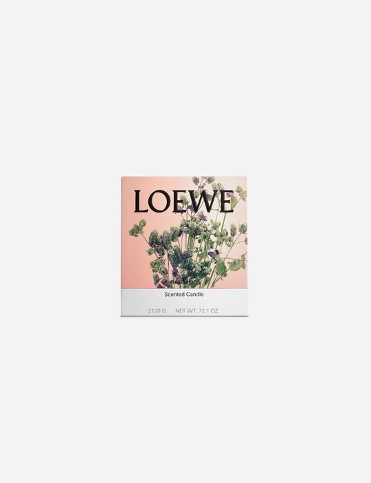 Свеча Loewe 