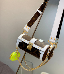 Louis Vuitton Papillon Trunk