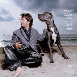 LP: THOMAS ANDERS — «Strong» (2010/2022) [Pink Vinyl]