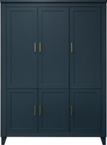 Шкаф для одежды 3д «Амадей» П6.635.1.06