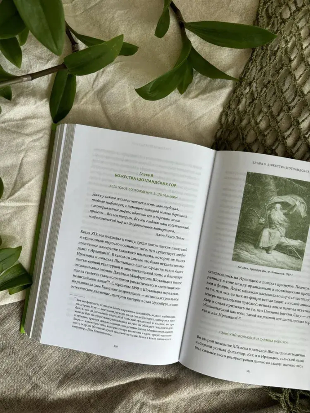 Ирландские мифы. От Племен Богини Дану и Кром Круаха до «кельтских сумерек» и Самайна