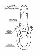 Фаллопротез пустотелый LOVETOY – реалистик на ремешках, 19 см