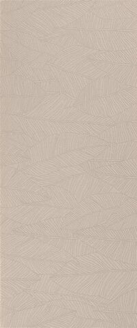 Atlas Concorde Aplomb Canvas Leaf 50x120