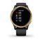 Garmin VENU черные с золотистым безелем