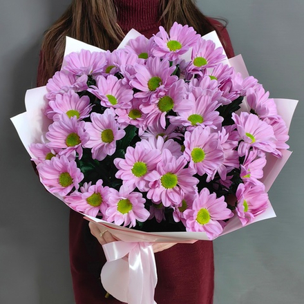 Букет из 5 кустовых хризантем сорта "BALLERINAS"