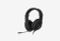 77231_0226709105943