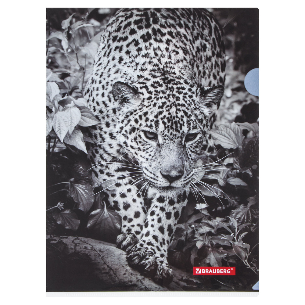 Папка-уголок BRAUBERG "LEOPARD" А4 150 мкм цветная печать (12 штук в упаковке)