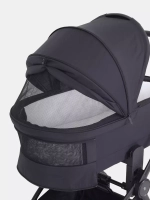 Коляска 2 в 1 Rant Flex 2025 RA076