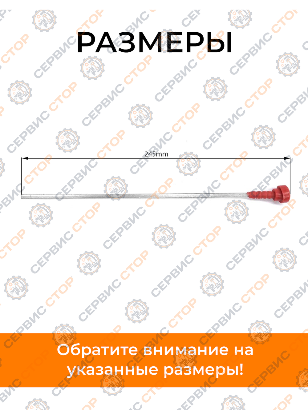 VM009-ZS1100 (2)