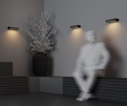 Уличный настенный светодиодный светильник Maytoni   O428WL-L10GF3K