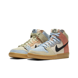 Кроссовки Nike Dunk High Pro SB 'Spectrum' CN8345-001