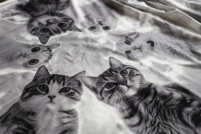 КОТЫ В КРУГУ - Кулирка с лайкрой, компакт пенье (ДЖ66 Маша) (к1 высота 75см, обрезан сверху)