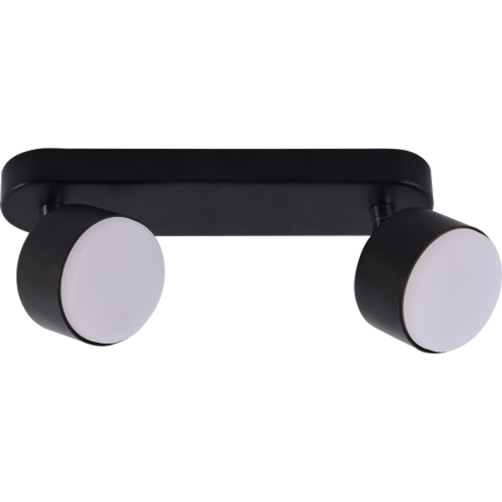 Светильник настенно-потолочный спот Rivoli Alesta 7079-702 2хGX53 15 Вт поворотный | Rivoli